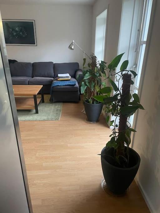 2 Bedroom Apartment Near The Sea Тисвиллелайе Экстерьер фото